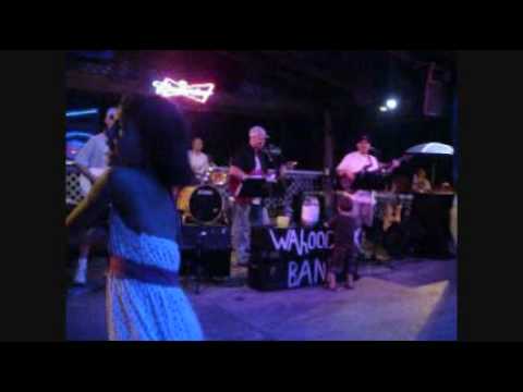 The Wahoo Creek band Garden City 6-24-2010.wmv