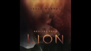 Peter Murphy   Remixes From Lion   2015