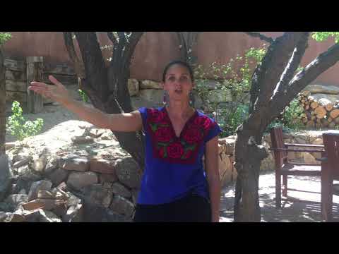 HOW TO...Talk to an Ally