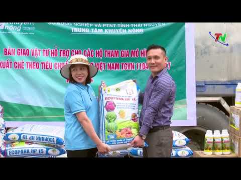 HOÀNG ANH AGRITECH ĐỒNG HÀNH CÙNG NÔNG DÂN THÁI NGUYÊN SẢN XUẤT CHÈ HỮU CƠ