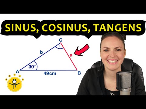 ALLES über Sinus Cosinus Tangens – Erklärung Trigonometrie Dreieck Winkel