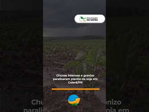 Chuvas intensas e granizo paralisaram plantio da soja em Goierê/PR