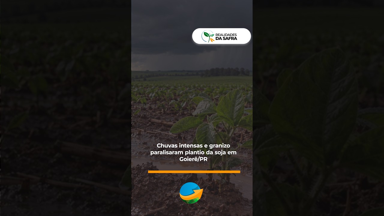 Chuvas intensas e granizo paralisaram plantio da soja em Goierê/PR
