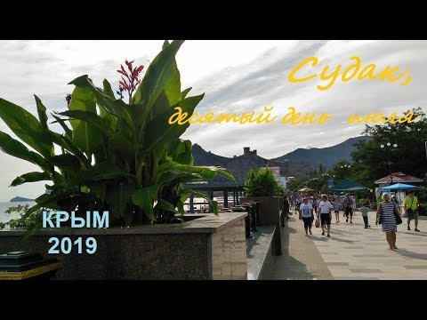 Крым, СУДАК 2019, Пляж, Набережная 10 июля. Вечер, много народу, приплыли дельфины