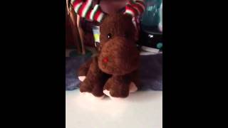 REVIEW:On Washing My Stuffed Animal MOOSEY