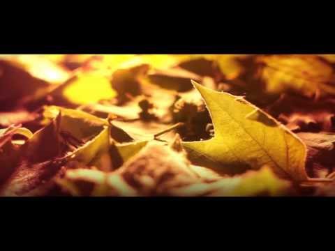 Golden Leaves Festival 2013 - 1. Teaser