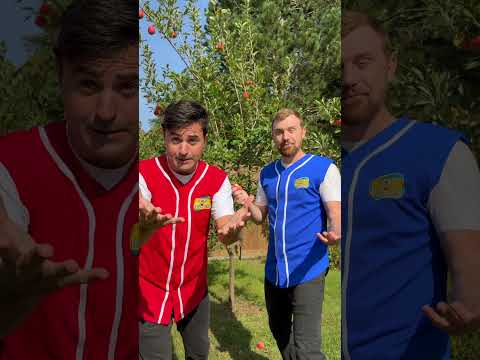 Good Fruit OR Bad Fruit? | Good News Guys