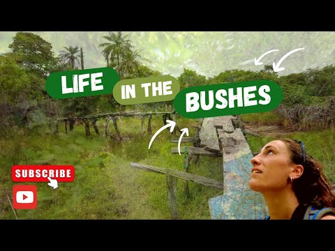 Life In The Bushes: KAFOUNTINE, CASAMANCE (SENEGAL)