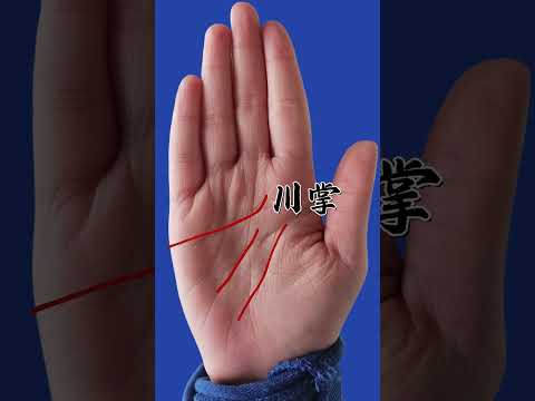 大拇指 第一節 橫紋