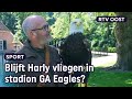 Bekende valkenier Gerrit moet stoppen met GA Eagles-mascotte Harly | RTV Oost