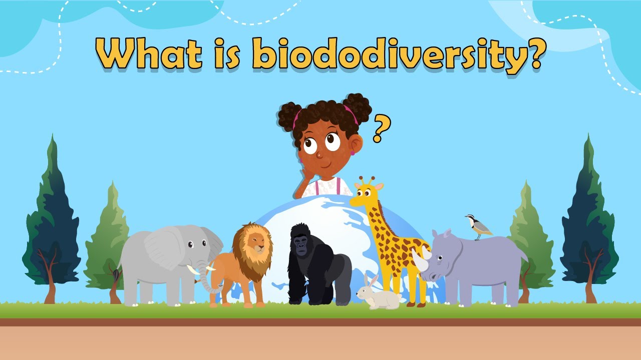 What is biodiversity? | Biodiversity for Kids | Biodiversity meaning | What does biodiversity mean