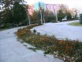taxi mi-e dor si doare 