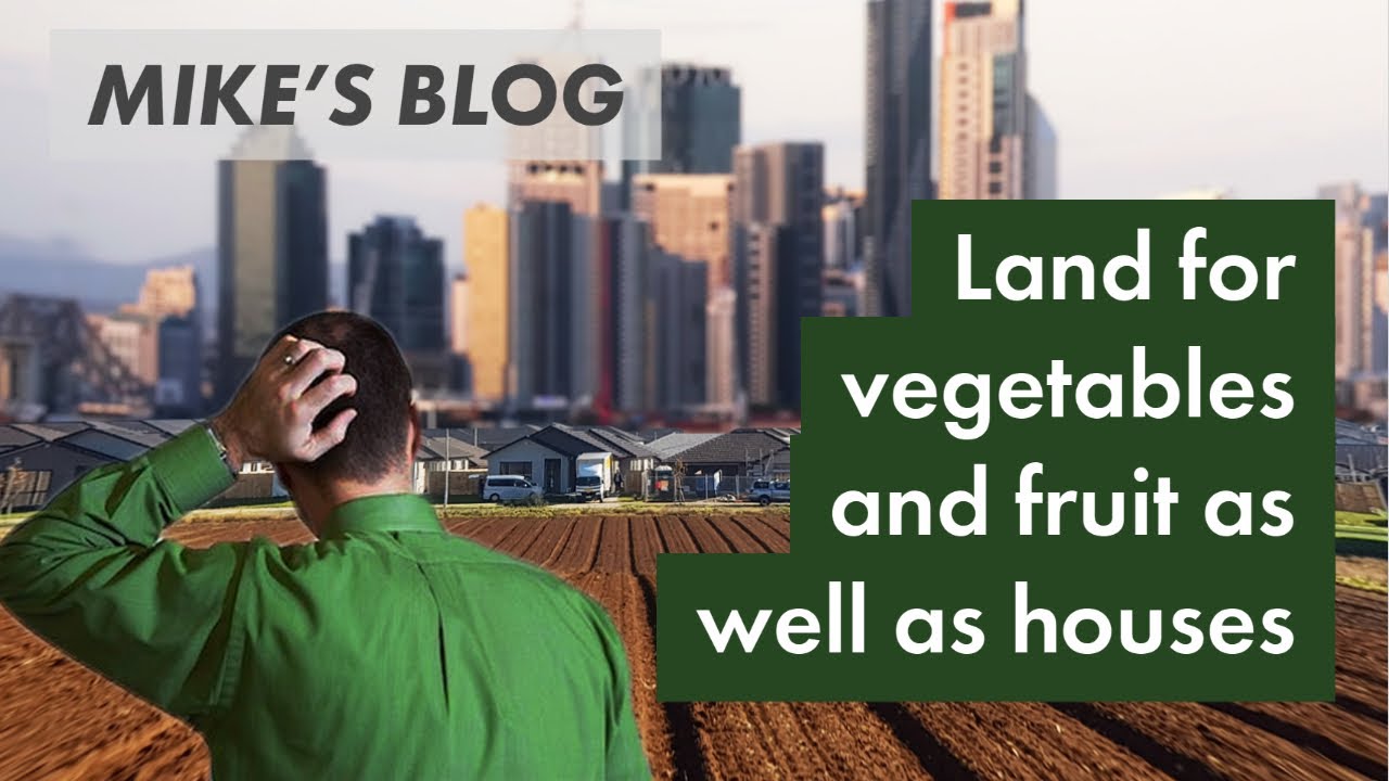 Land for vegetables and fruit as well as houses