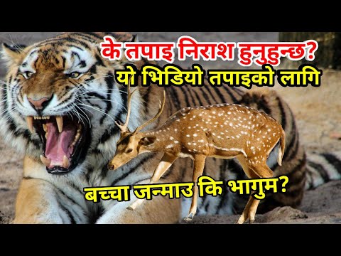 Nepali motivational video | Nepali Motivational story | nepali katha | Nepali motivational speech