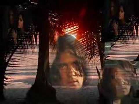 wildest dreams -Tina Turner and Antonio Banderas
