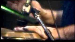 "Buffalo Herds and Windmills" By Sean Kelly