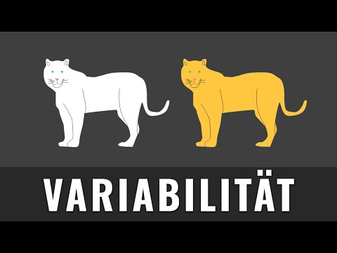 Variabilität | Rekombination, Mutation, Modifikation | Evolutionsbiologie