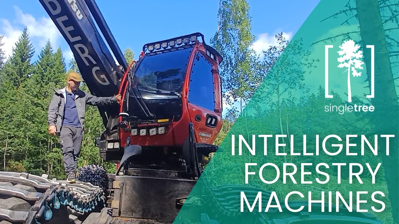 Inside the Intelligent Machine Transforming Forest Operations