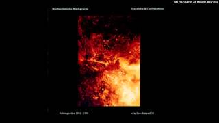 Das Synthetische Mischgewebe - Harvest Of Magnetism III (excerpt)