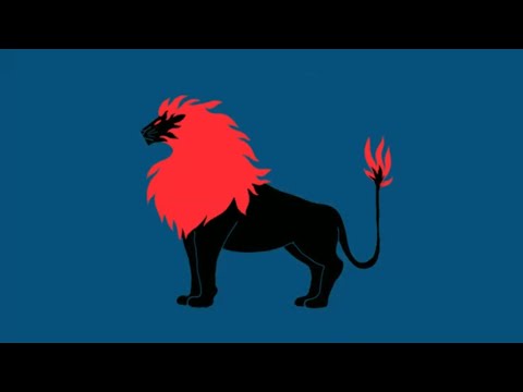 Aprendiz De Leones video