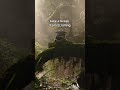 Grogu Scroll Break