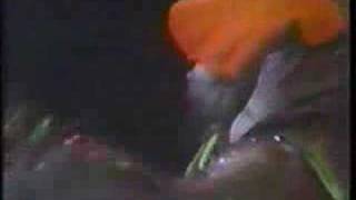 Funkentelechy (Part 1)- Houston 1978