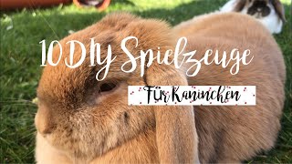 10 DIY-Spielzeuge für  Kaninchen | Two sweet bunnies