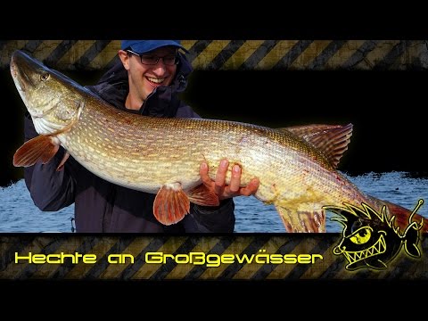 Hechte an Großgewässern (kapitaler Hecht 121cm) - giant pike 121 cm / 48 inch