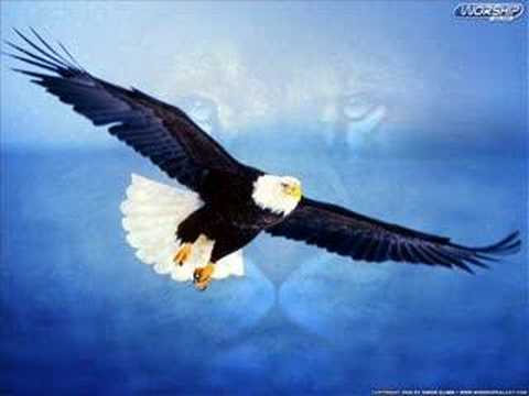 Dominik Eulberg - Adler