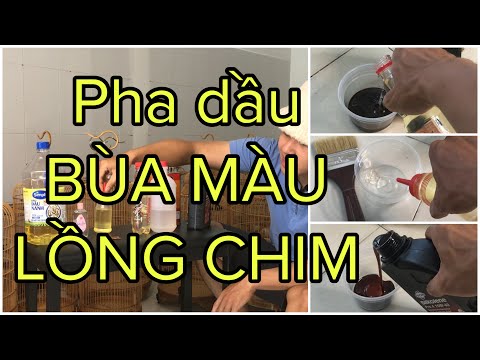 PHA DẦU BÙA MÀU LỒNG CHIM