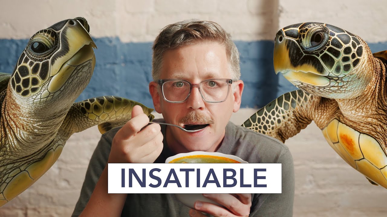 Why turtle soup disappeared