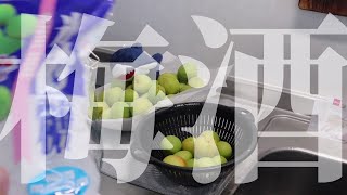 梅酒を仕込むだけの動画かもしれない。【半実写】