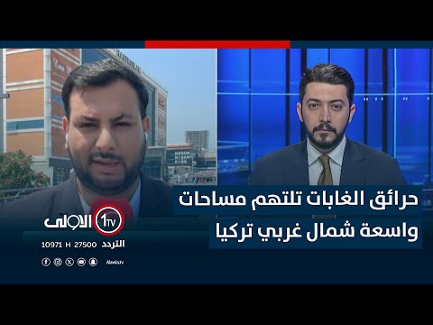 فيديو | حرائق الغابات تلتهم مساحات واسعة شمال غربي تركيا