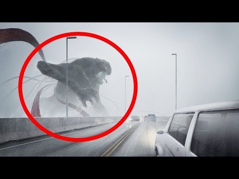 5 Giant Creatures Caught on Camera Video