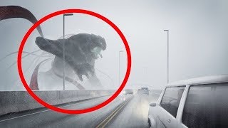5 Giant Creatures Caught on Camera