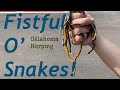 Herping Vlog Episode 13: Fistful O' Snakes!!!!!