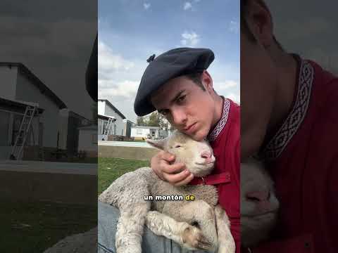 Here are those who were there from the beginning 👇🏼