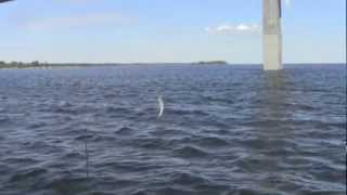 preview picture of video 'Fishing in Vaasa'