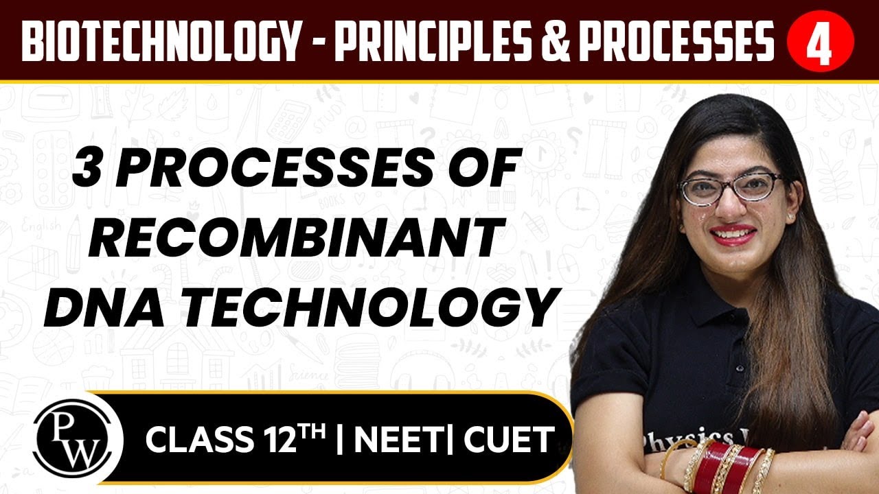 Biotechnology - Principles & Processes 04 | 3 Processes of Recombinant DNA Technology | 12th / NEET