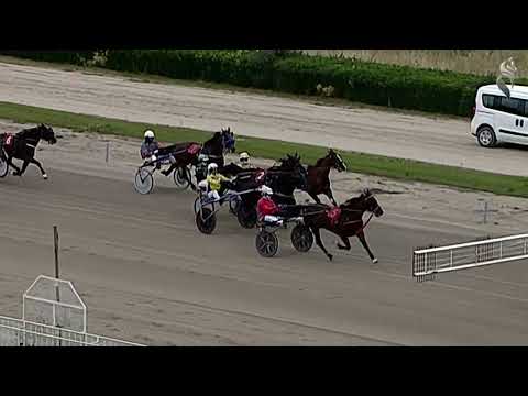 Aversa trotto 20 Maggio 2023 - 2° Corsa