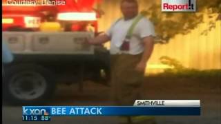 preview picture of video 'Smithville Bee Attack'