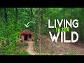Ep 01 I Stayed At Saccharum Safari Lodge And DISCOVERED Kanha S Best Kept Secret 4K Video