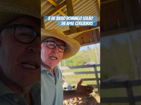 Domingo 5 de julho leilão da APAE cerejeiras Ro