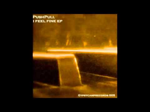 PushPull   Feel Fine Original Mix)