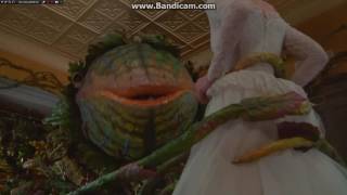 Suppertime Reprise Little Shop of Horrors