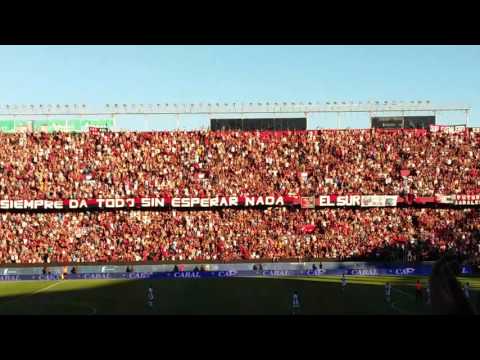 "Hinchada Sabalera" Barra: Los de Siempre • Club: Colón