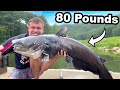 I Stocked Giant 80 Pound Catfish In My Pond