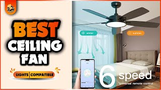Top 5 High-Performance Ceiling Fans for Ultimate Comfort and Style!