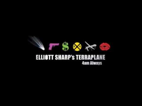 Elliott Sharp's Terraplane -  Ain t Got No