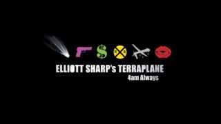 Elliott Sharp's Terraplane -  Ain t Got No